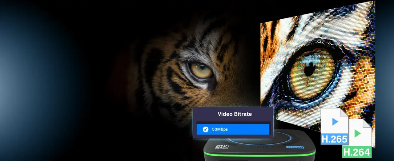H.265/H.264 Codec Options
